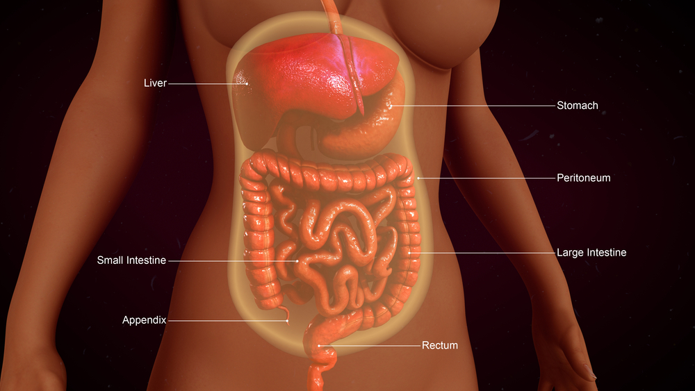 Peritoneal cancer back pain