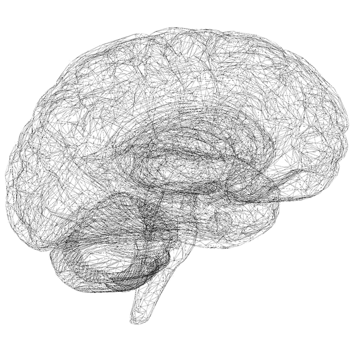 Brain Illustration