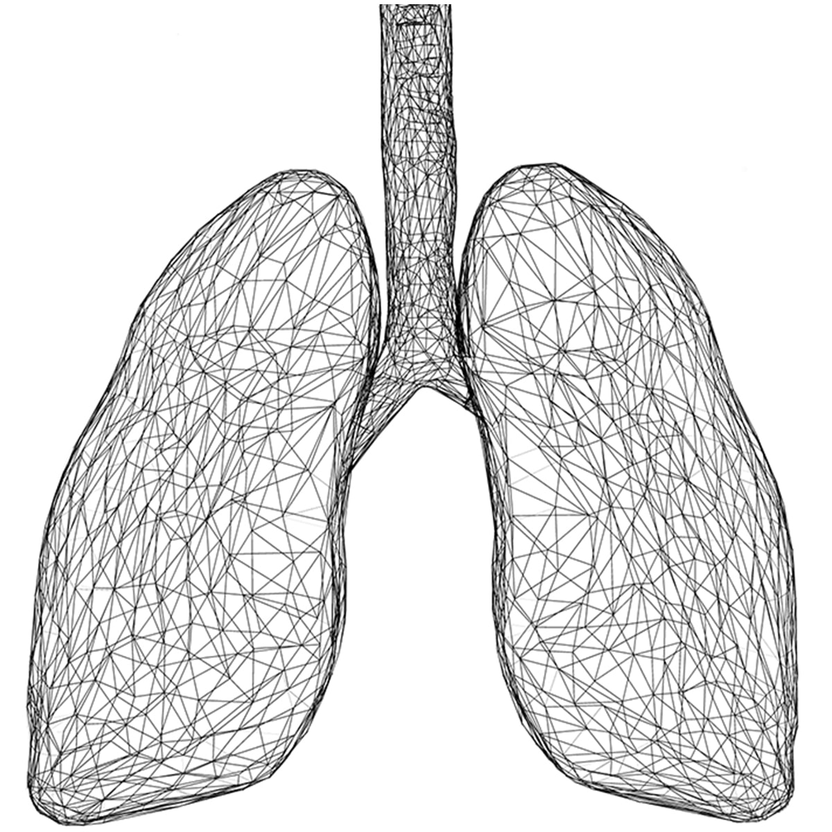 Lungs Illustration